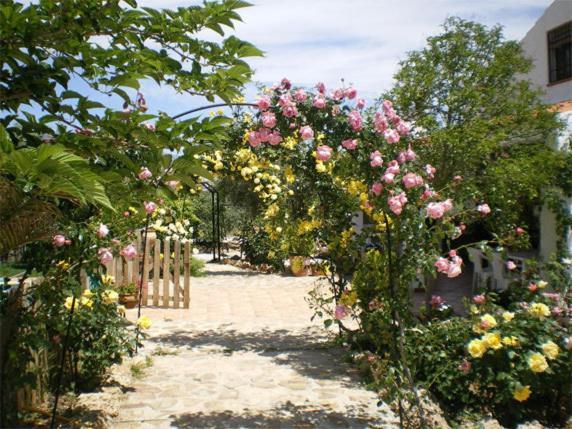 Casas Rurales Cazorla-Alcon Pozo Alcón Rom bilde
