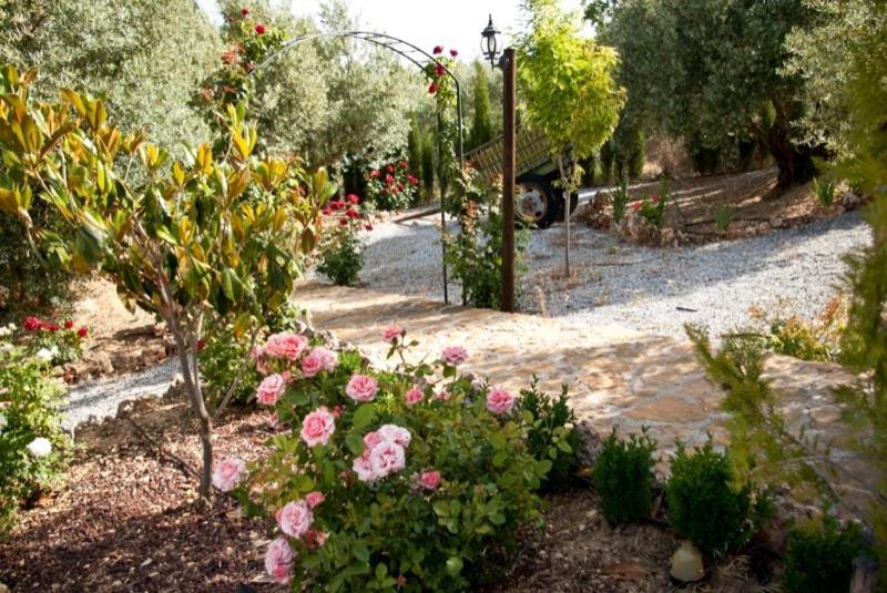 Casas Rurales Cazorla-Alcon Pozo Alcón Rom bilde