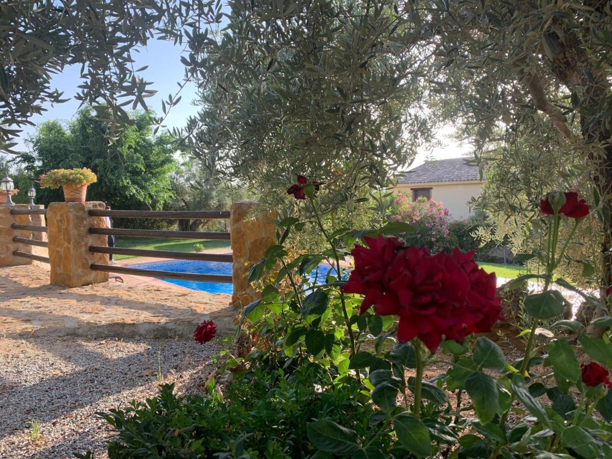 Casas Rurales Cazorla-Alcon Pozo Alcón Eksteriør bilde