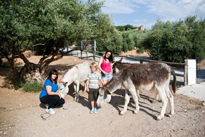 Casas Rurales Cazorla-Alcon Pozo Alcón Eksteriør bilde